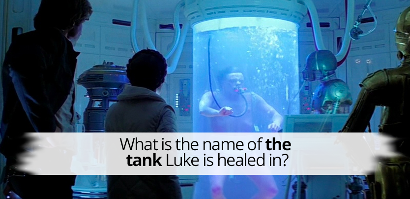 Question 6