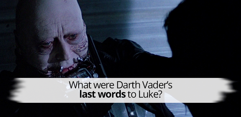 Question 8