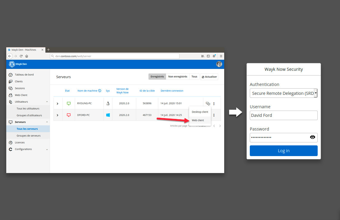 Wayk-Den-web-client-1