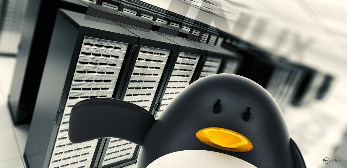 [NOUVEAU] Cas d’utilisation : comment les organisations peuvent-elles utiliser Remote Desktop Manager avec une base de données SQL Server Express sous Linux