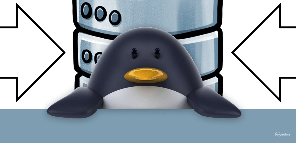 RDM-Linux-Connection-Data-Source-import-Export