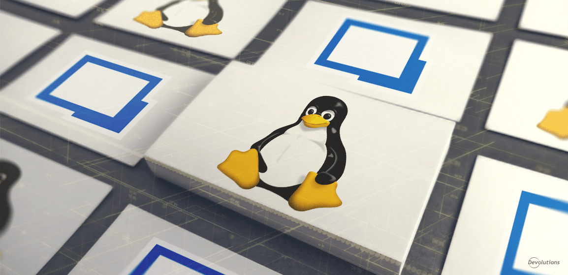 fonctionnalites-en-vedette-miniatures-en-direct-dans-remote-desktop-manager-pour-linux