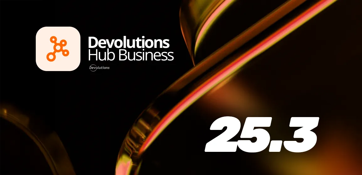 Devolutions hub 2025.3 features blog