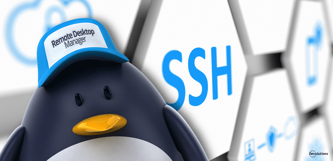 RDM-Linux-SSH