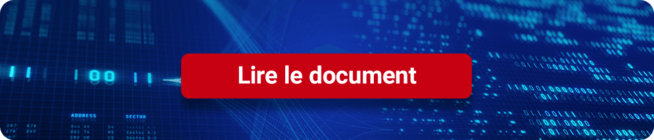 Whitepaper-Service-outages-button-fr