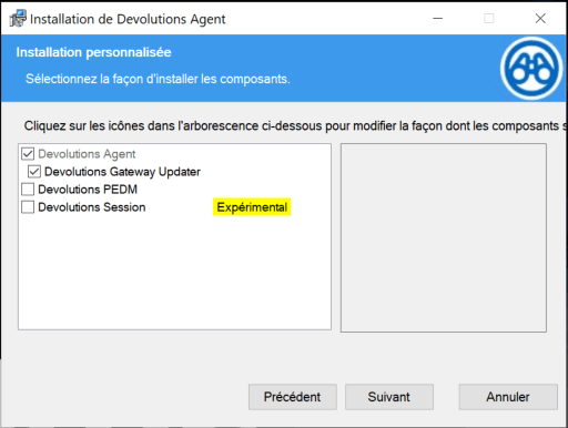 Sélection de l'option Devolutions Gateway Updater dans l'installation de l'Agent