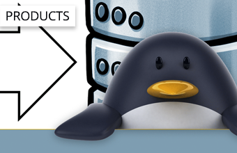 Exporting/Importing Data Source Configurations & Entries in RDM for Linux