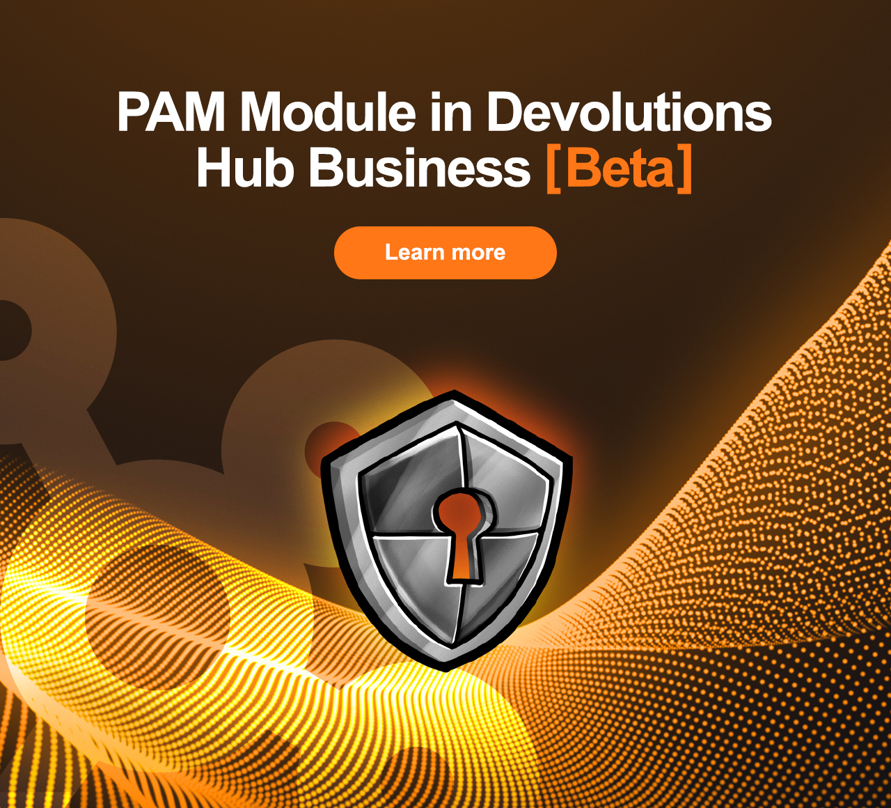 PAM Module in Devolutions Hub Business - Beta