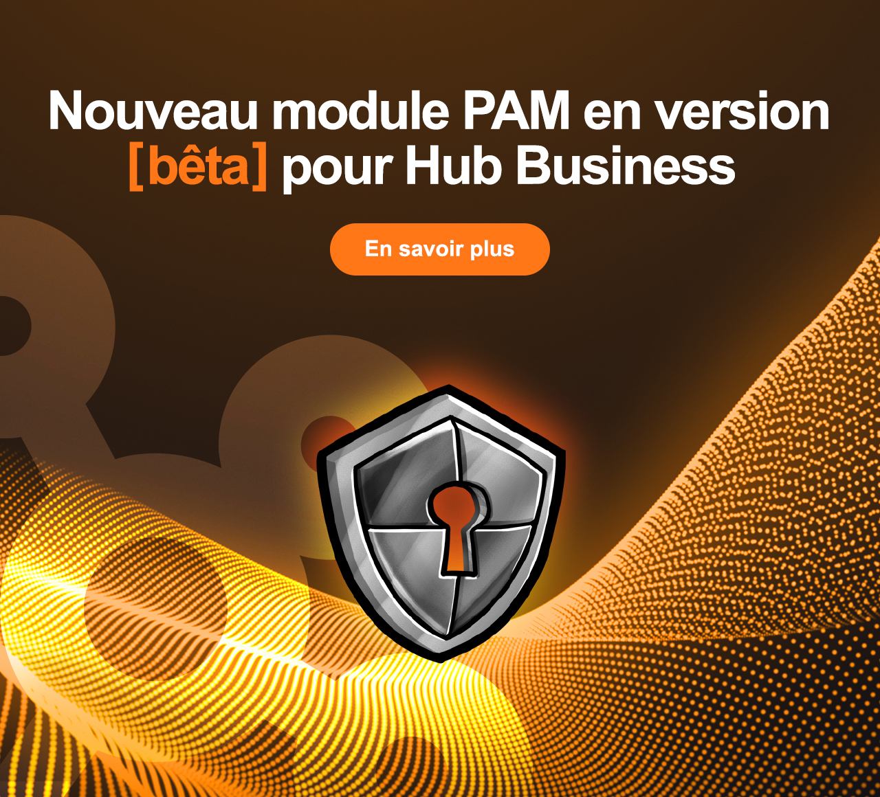 Nouveau module PAM en version bêta pour Hub Business